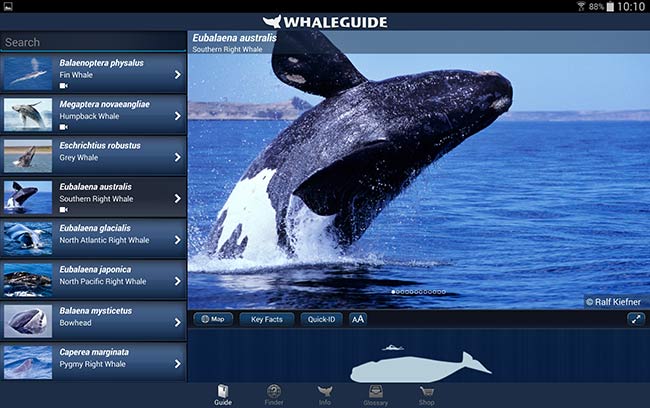 WhaleGuide Android 1