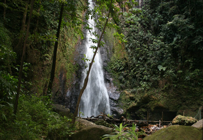 Dominica's Syndicate Falls