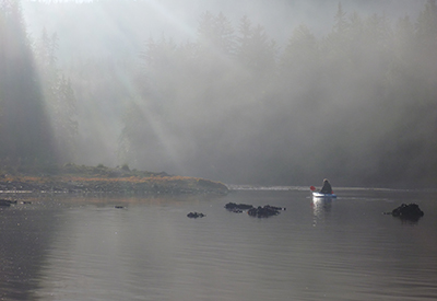 Swan Lake - morning mist