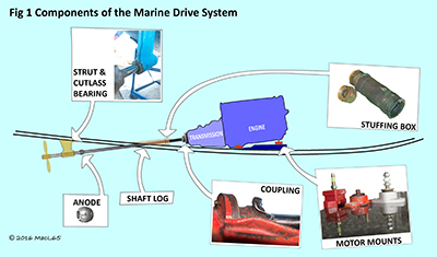 Components of the marine drive system