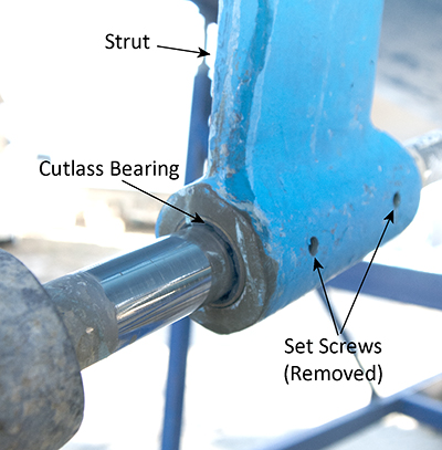 strut and cutlass bearing