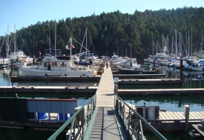 Maple Bay Marina Visitor Dock