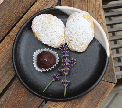 Lavender-Laced Madeleines and Chocolate